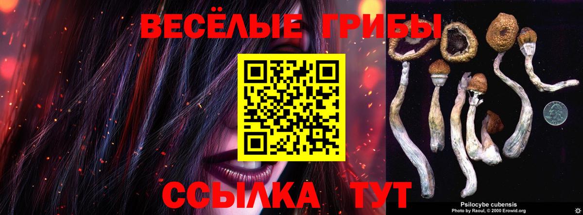 где можно купить наркотик  Галлюциногенные грибы прущие грибы  Вход с VPN  Ухта 