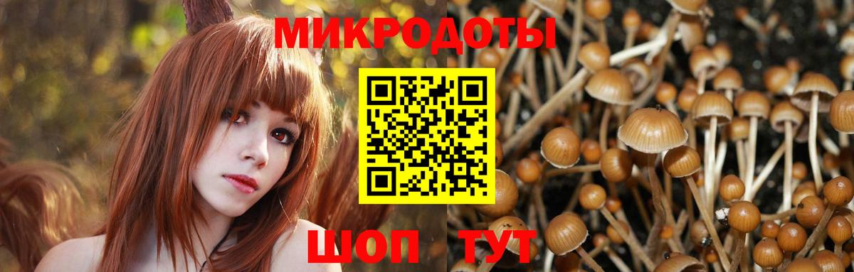 Галлюциногенные грибы GOLDEN TEACHER Ухта